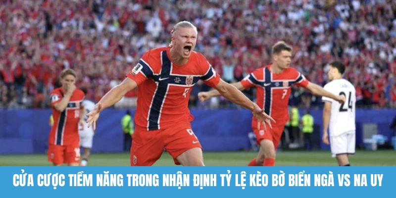 Cửa cược tiềm năng trong nhận định tỷ lệ kèo Bờ Biển Ngà vs Na Uy