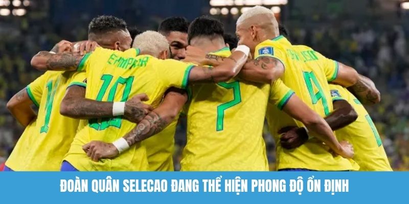 Đoàn quân Selecao đang thể hiện phong độ ổn định