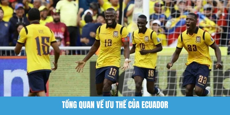 Tổng quan về ưu thế của Ecuador