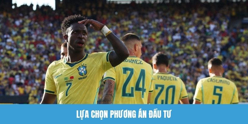 Lựa chọn phương án đầu tư